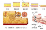 乱象之下 看正版5G天使光如何突破重围 走向正轨